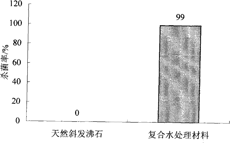 Denitrification dephosphorization antibacterial composite water treatment material used for water reclamation