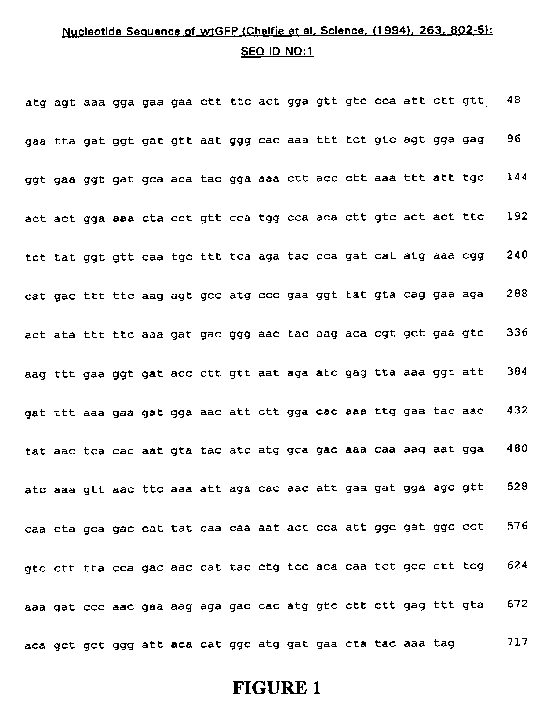 Fluorescent proteins