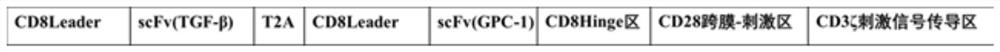 A chimeric antigen receptor and its modified immune cells and the application of the immune cells in the treatment of advanced pancreatic cancer