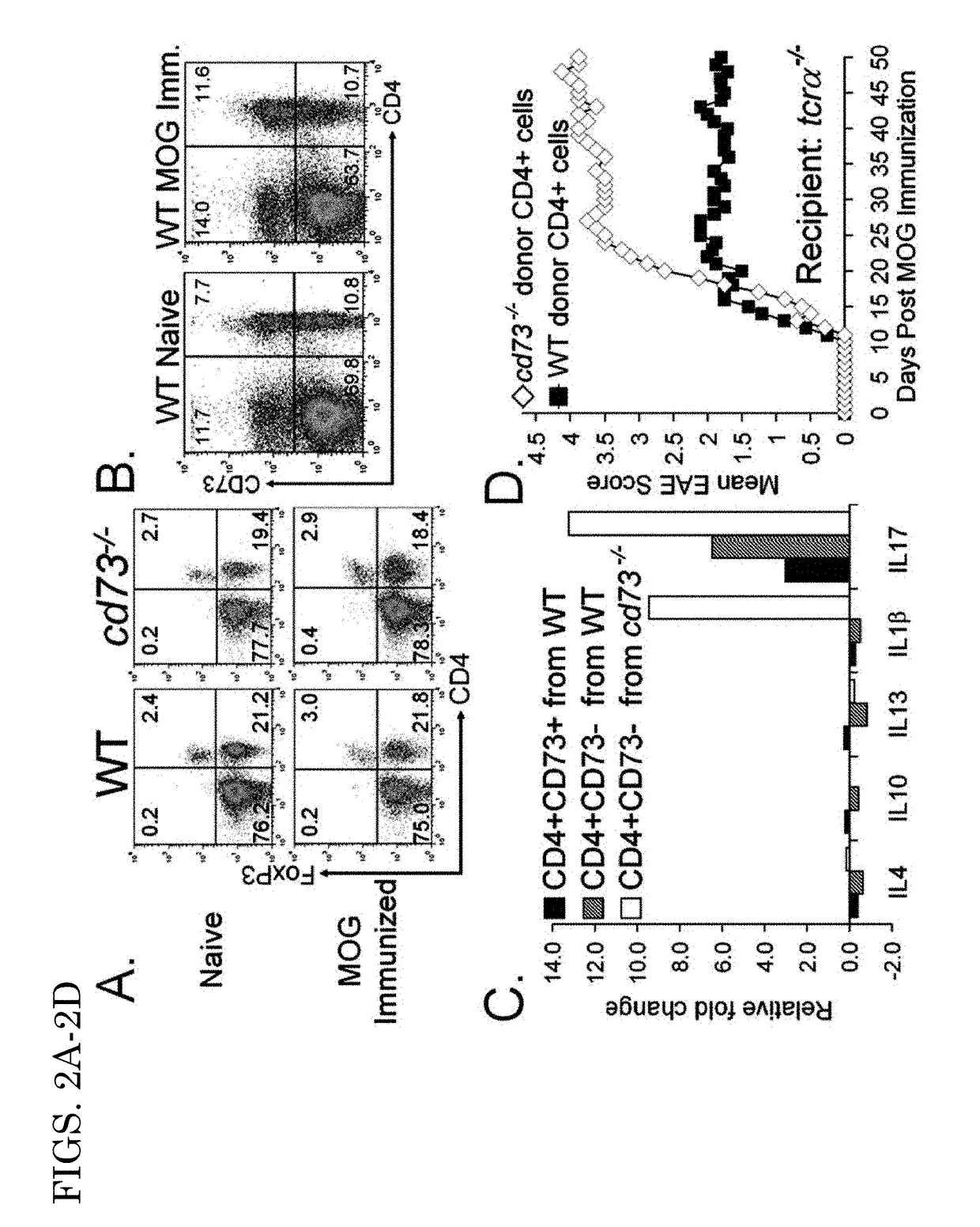 Modulation of blood brain barrier permeability