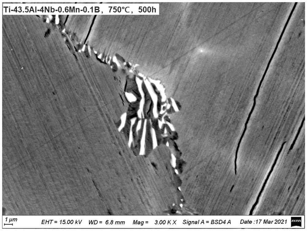 TiAl alloy capable of inhibiting generation of ordered omega phase and preparation method of TiAl alloy