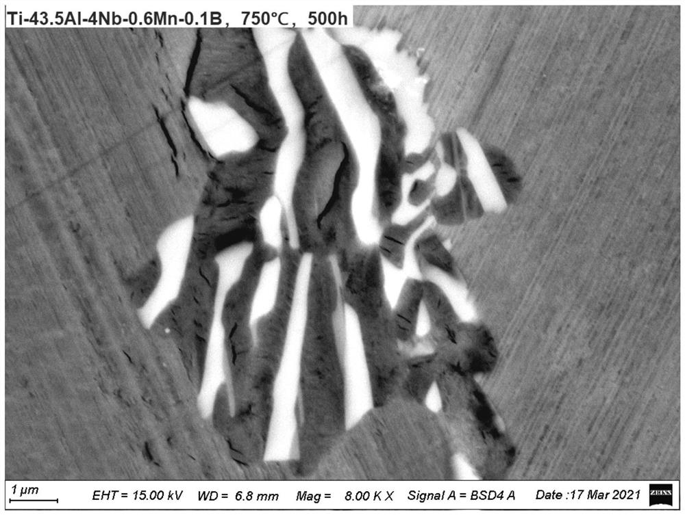 TiAl alloy capable of inhibiting generation of ordered omega phase and preparation method of TiAl alloy