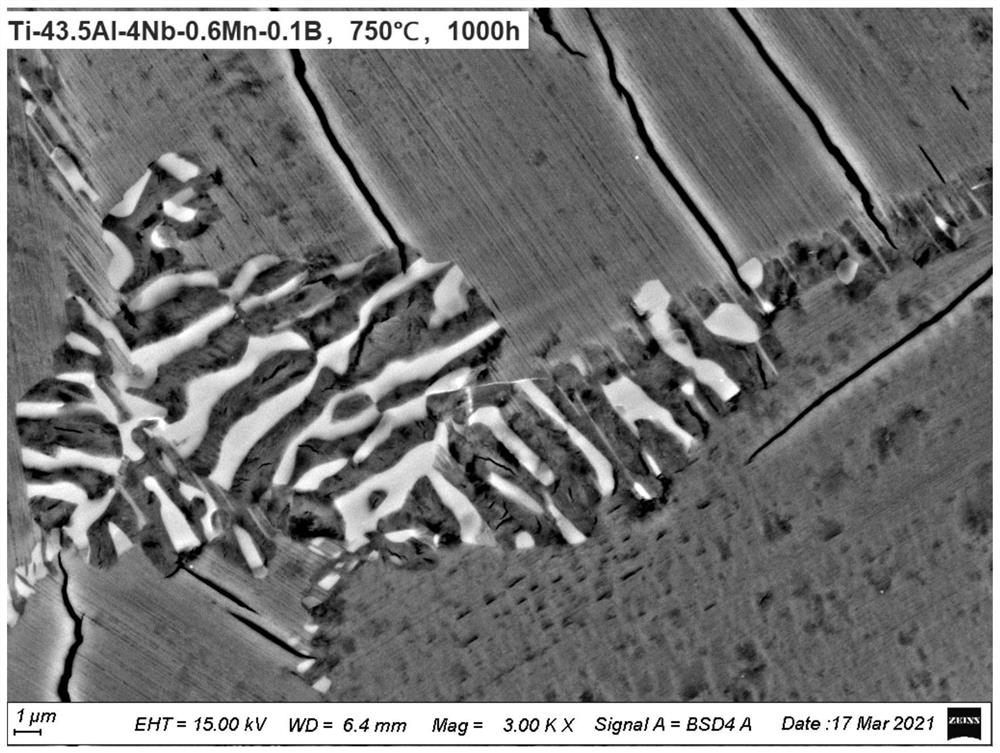 TiAl alloy capable of inhibiting generation of ordered omega phase and preparation method of TiAl alloy