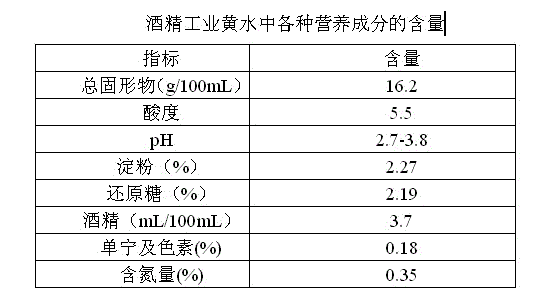 Method for production of lactic acid bacteria by utilizing ethanol industrial yellow water