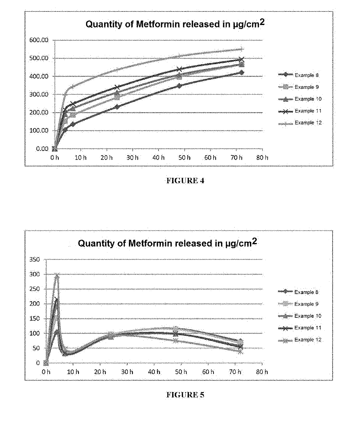 Dressing Enabling the Controlled and Prolonged Release of Metformin