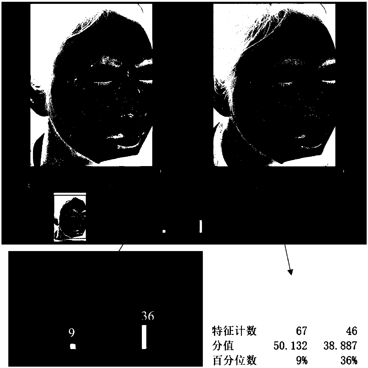 Preparation method of compound plant allergy-relieving and repairing essence