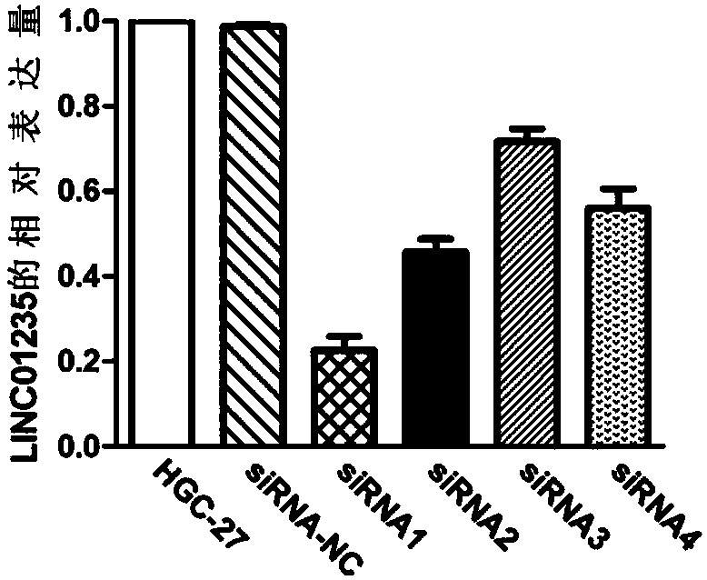 Gastric cancer related biomarker and application thereof