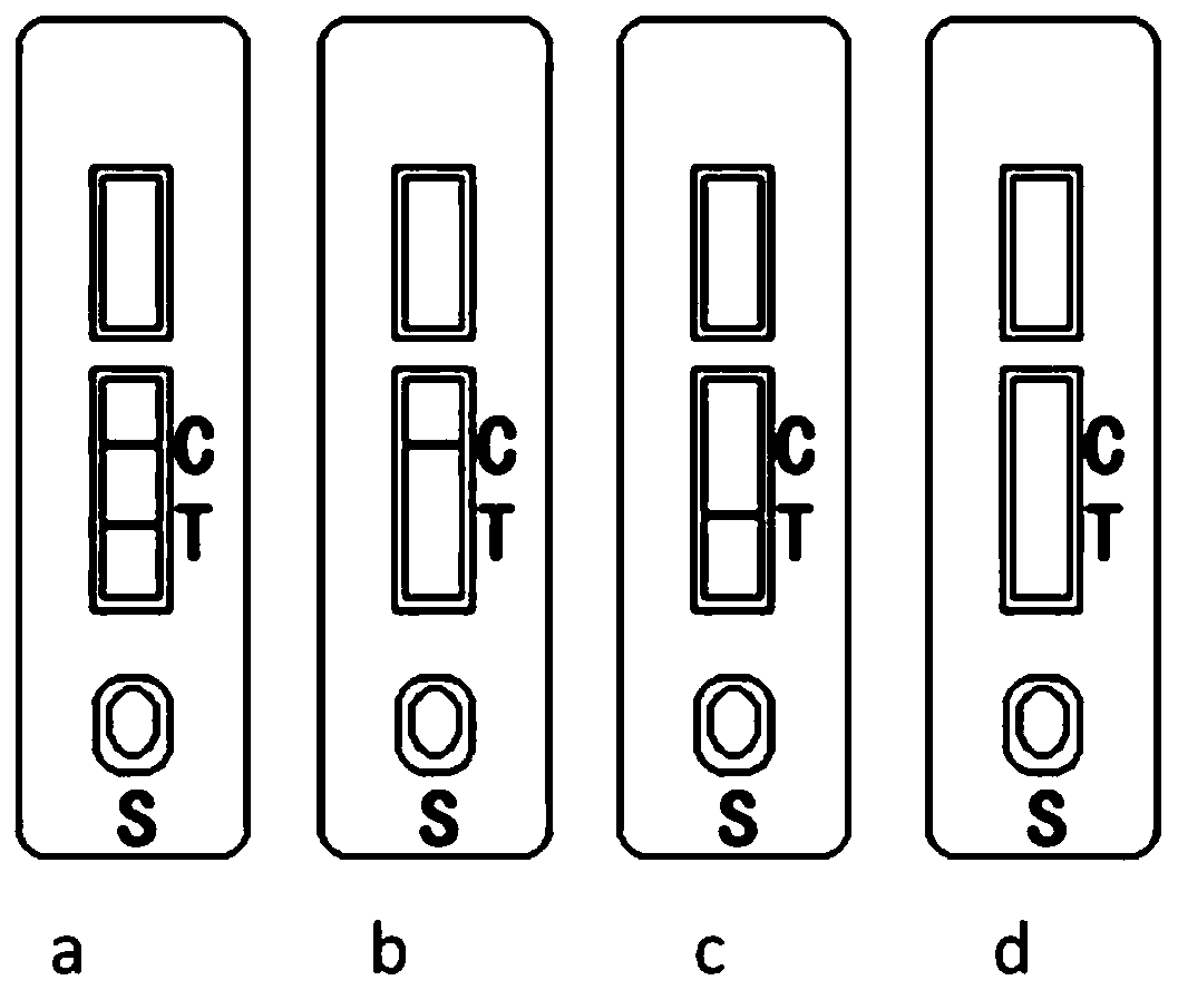 Test strip for detecting infectious laryngotracheitis virus, preparation method, detection method and kit