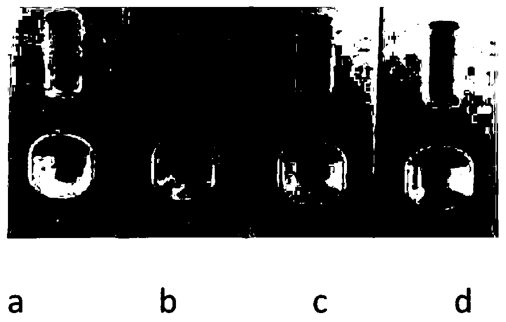 Test strip for detecting infectious laryngotracheitis virus, preparation method, detection method and kit