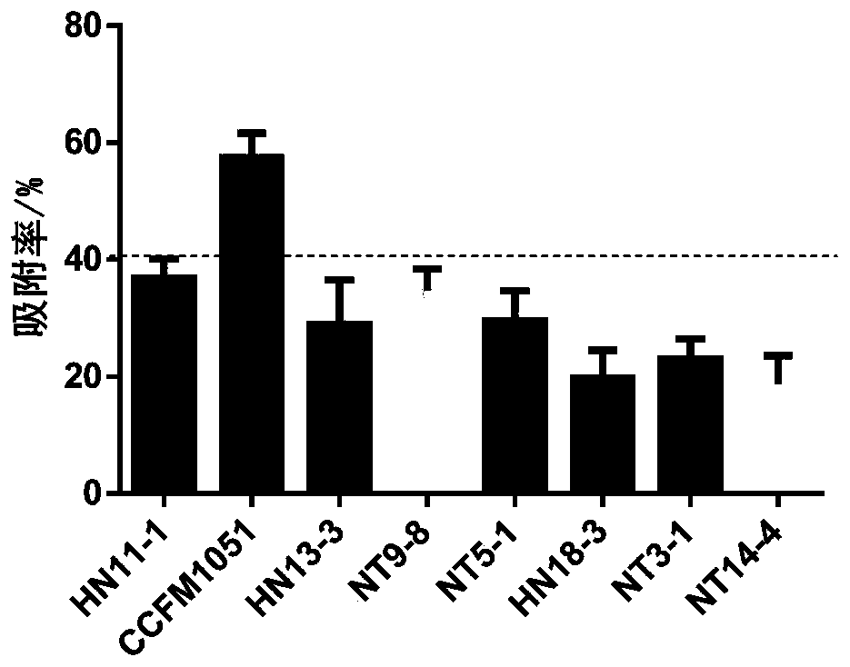 Multifunctional lactobacillus fermentum CCFM1051 for relieving PFOA toxicity and fermented foods and application thereof