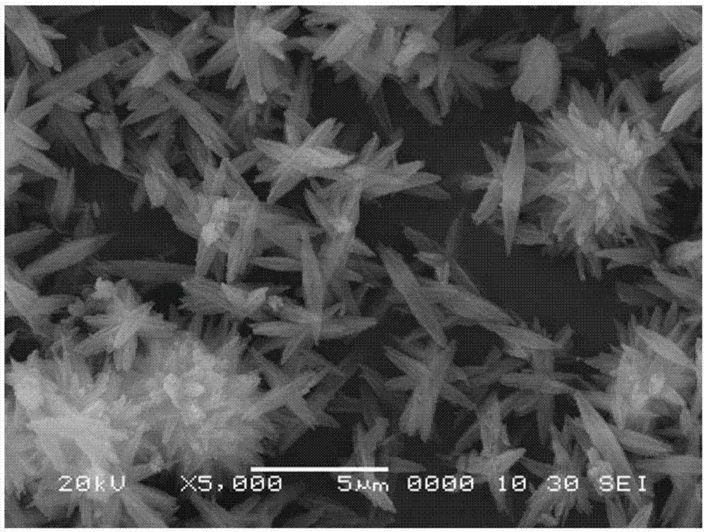 Stable synthetic method for TON zeolite