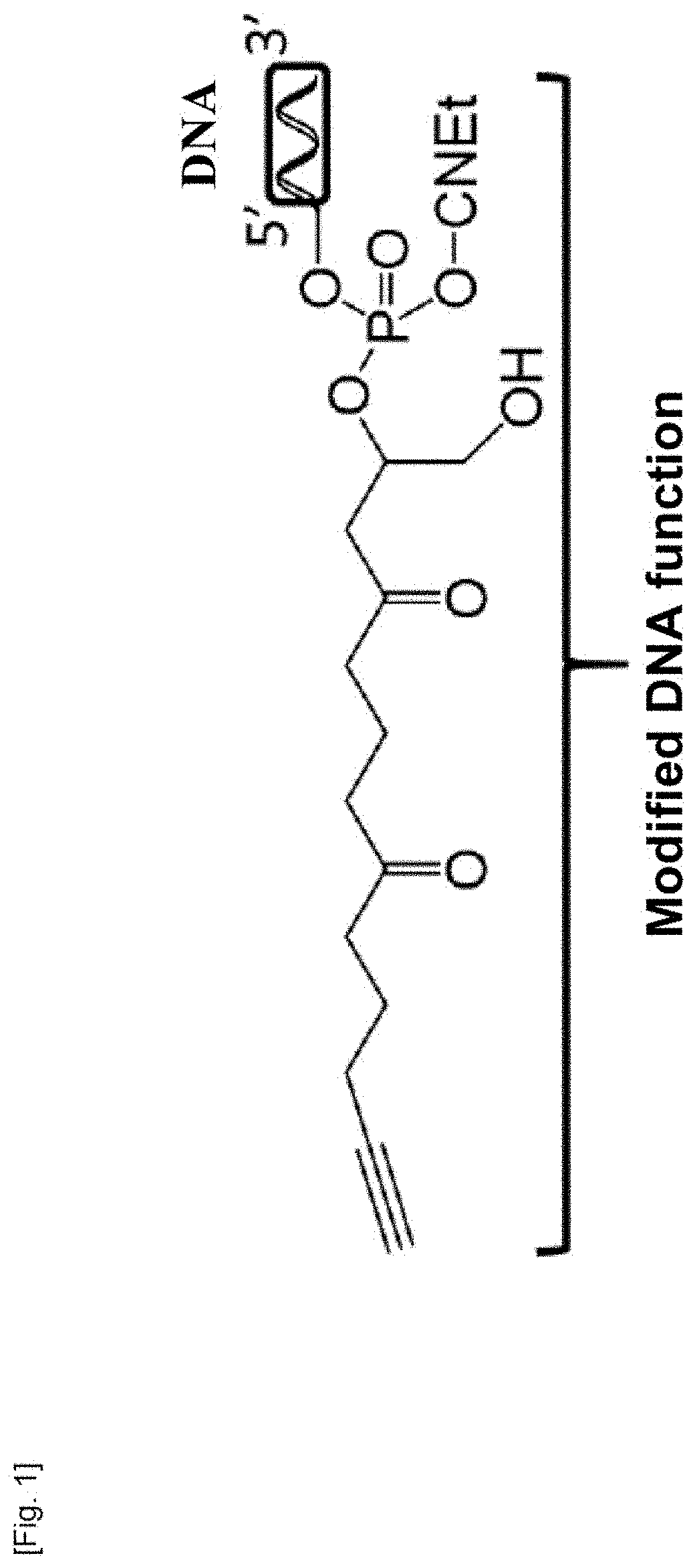 Material for capturing circulating cells in the blood, method of preparation and use