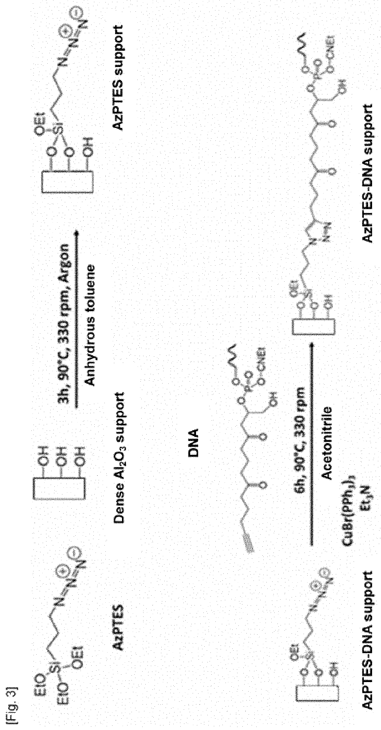 Material for capturing circulating cells in the blood, method of preparation and use