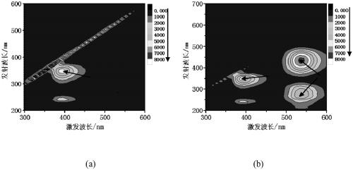 Fluorescence ratio probe as well as synthesis method thereof and application thereof to detection on intracellular lysosomal formaldehyde