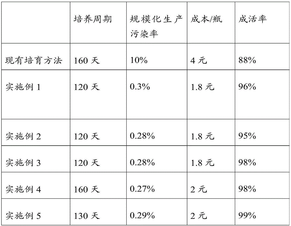 Method for efficiently breeding tissue culture seedlings of bletilla striata and planting method of bletilla striata