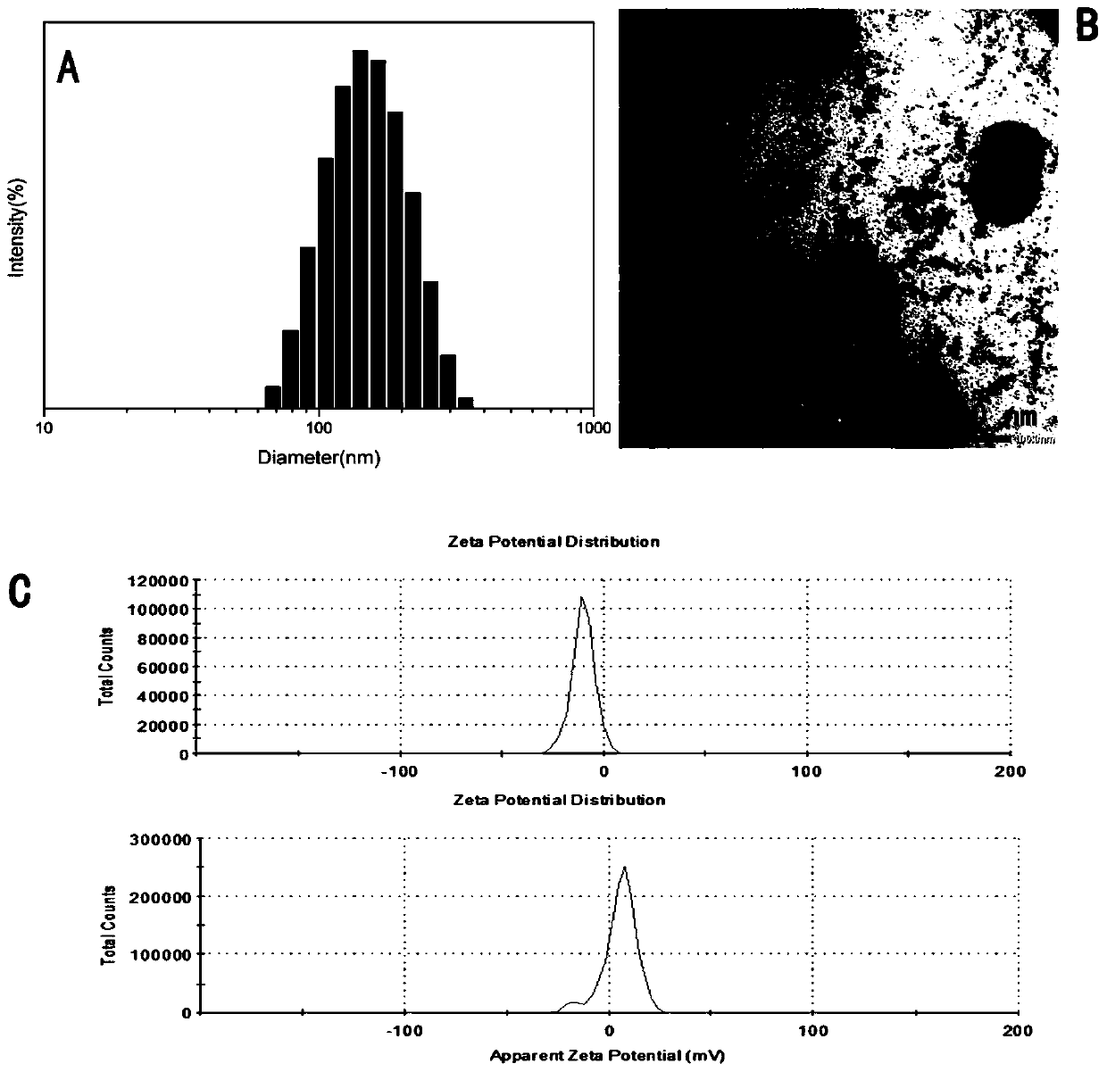 Preparation method of nano delivery system of double-pH sensitive supported chemotherapy drug daunorubicin (DNR)