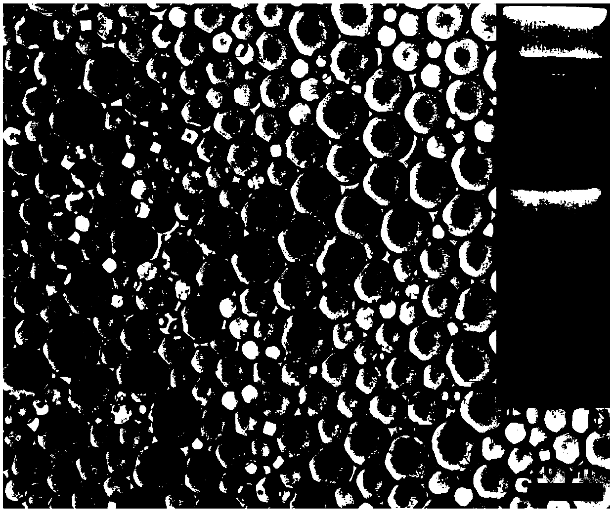 Preparation method of high oil-carrying emulsion rich in fibrous polysaccharides