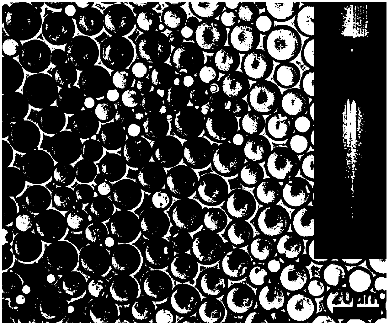 Preparation method of high oil-carrying emulsion rich in fibrous polysaccharides