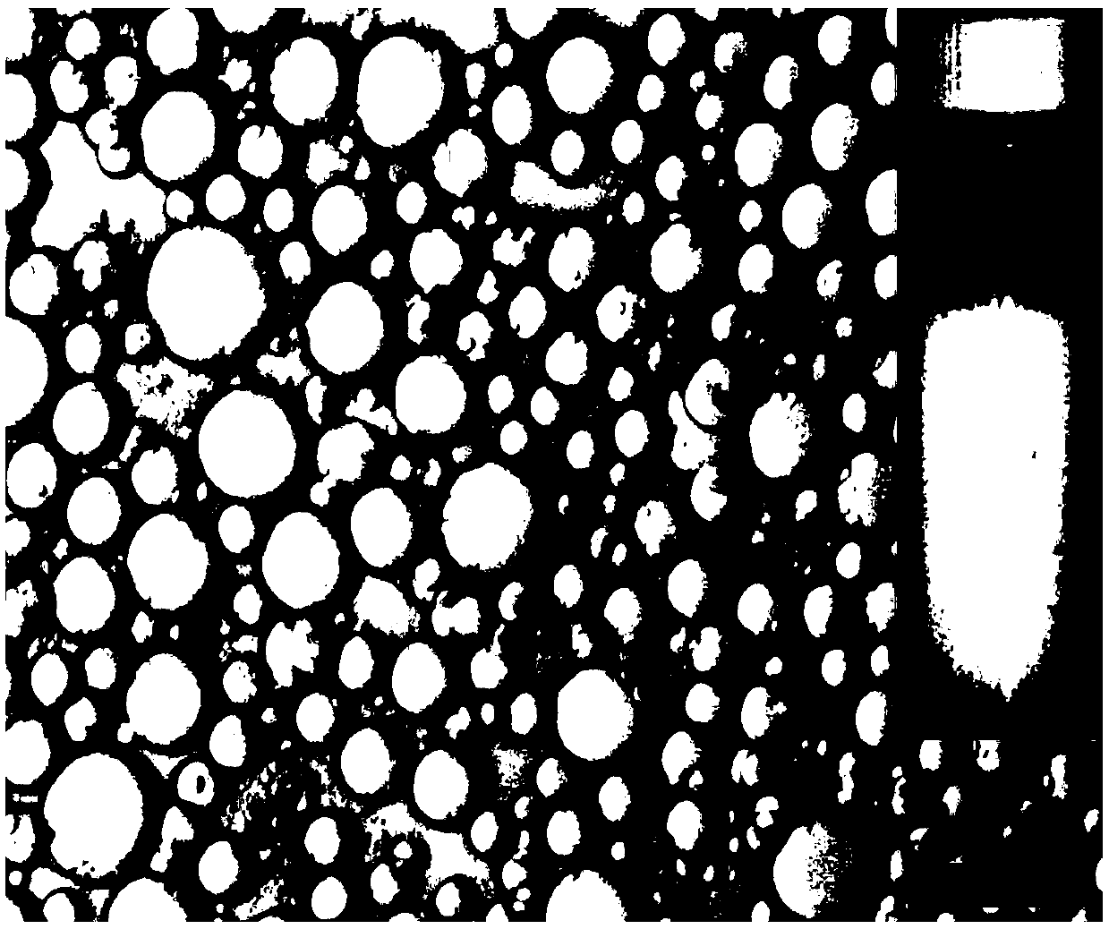 Preparation method of high oil-carrying emulsion rich in fibrous polysaccharides