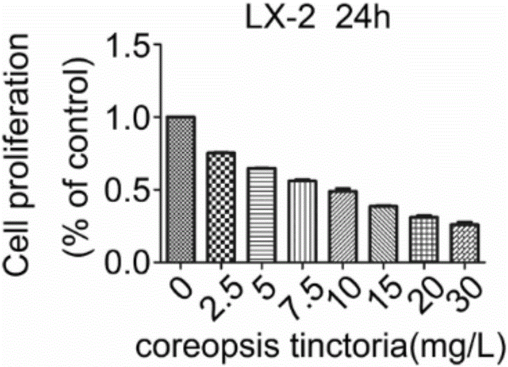 Application of snow chrysanthemum extract and snow chrysanthemum total flavone in preparation of drug for treating hepatic fibrosis