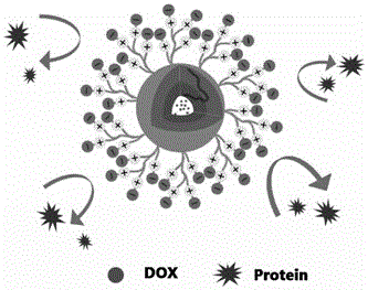 Zwitter-ion-contained multiple acid-sensitive anti-tumor drug-loading micelle and preparation method and application thereof