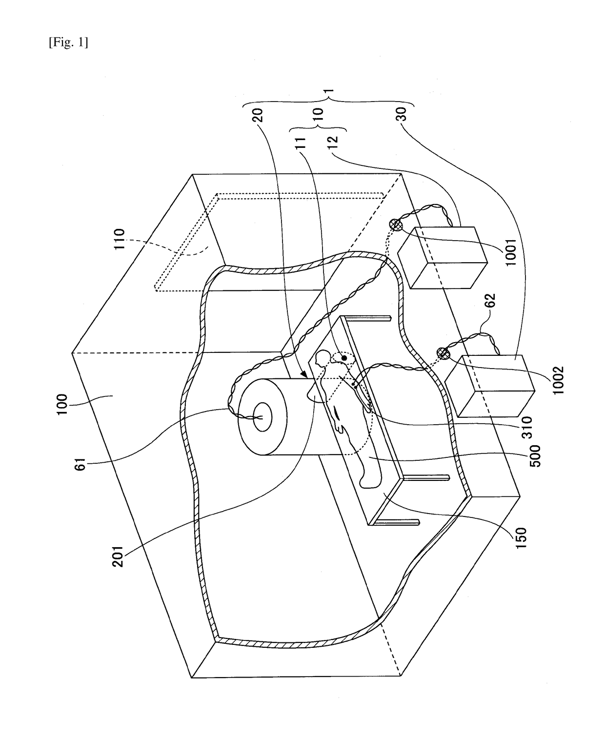 Nerve stimulation apparatus and biomagnetic field measurement system