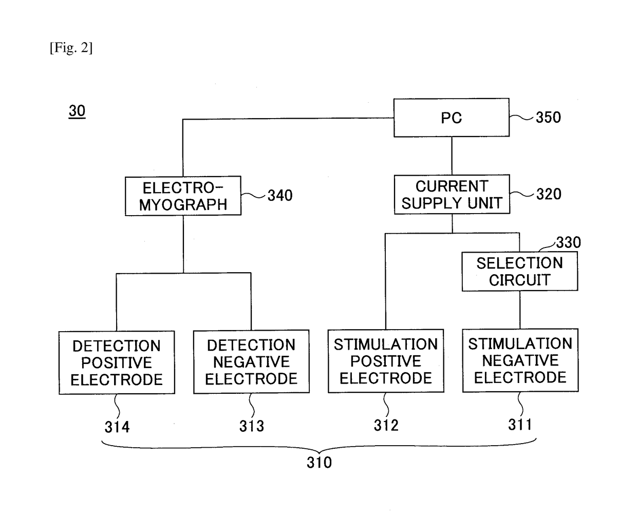 Nerve stimulation apparatus and biomagnetic field measurement system