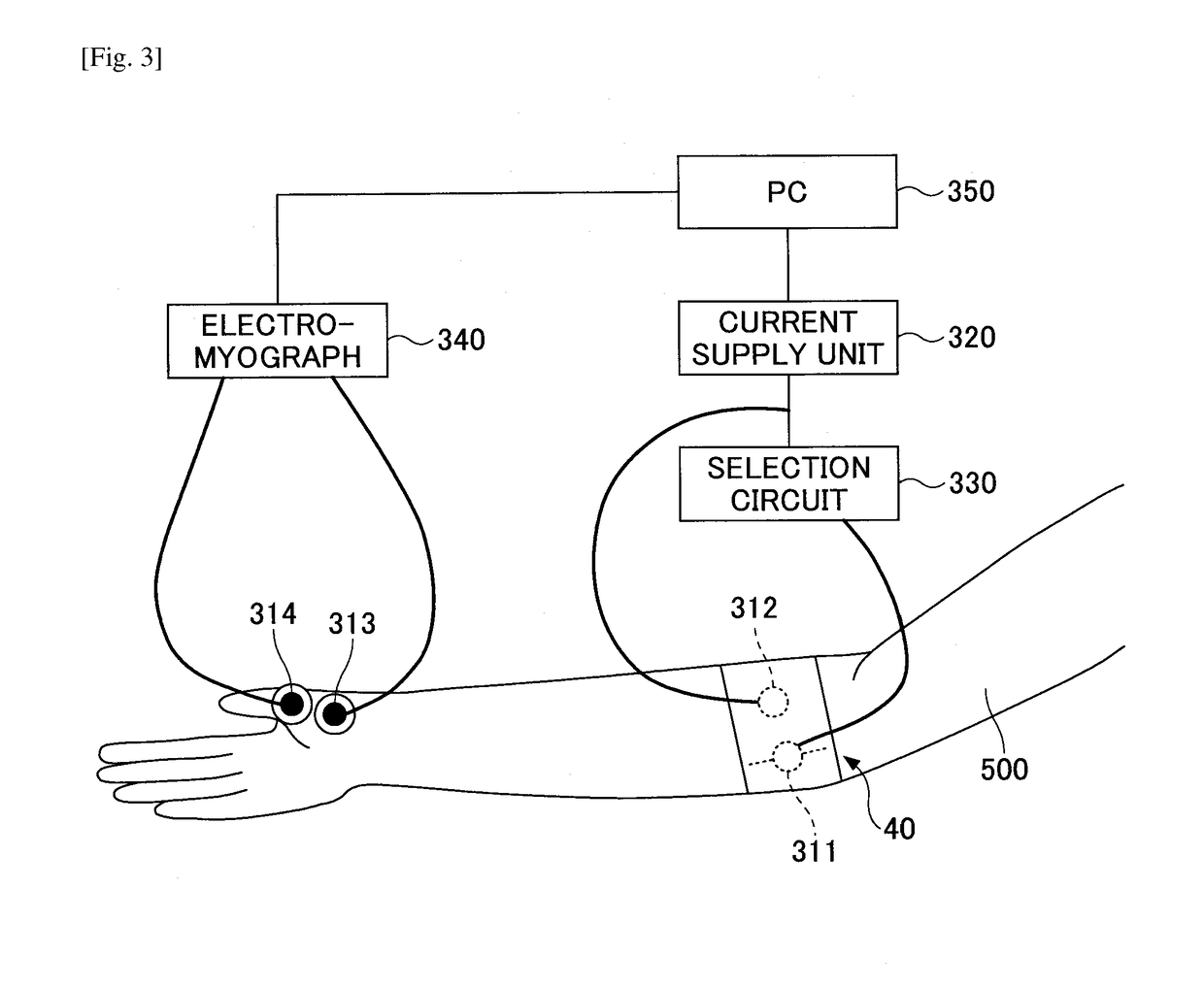 Nerve stimulation apparatus and biomagnetic field measurement system