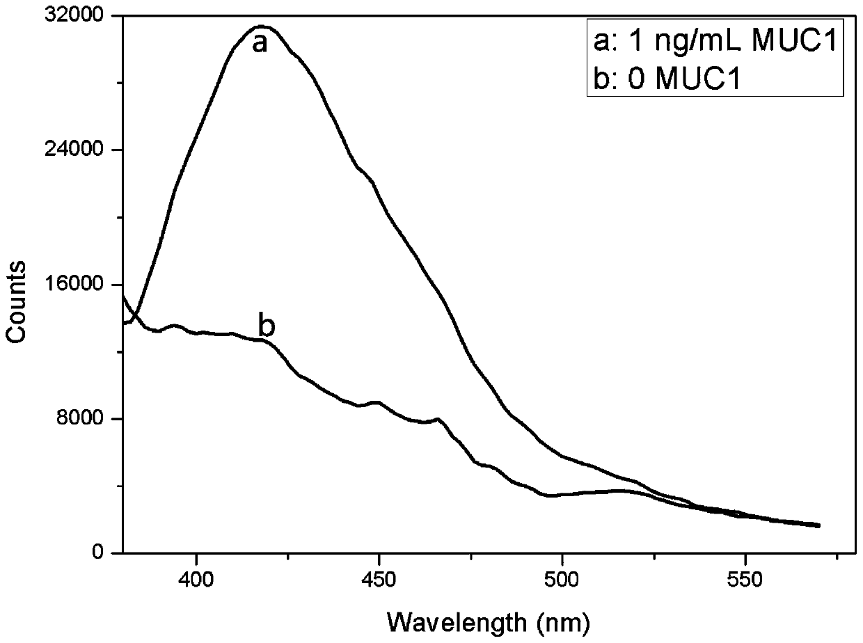 Trace MUC1 fluorescence detection method based on chained hybridization reaction and fluorescence carbon quantum dots