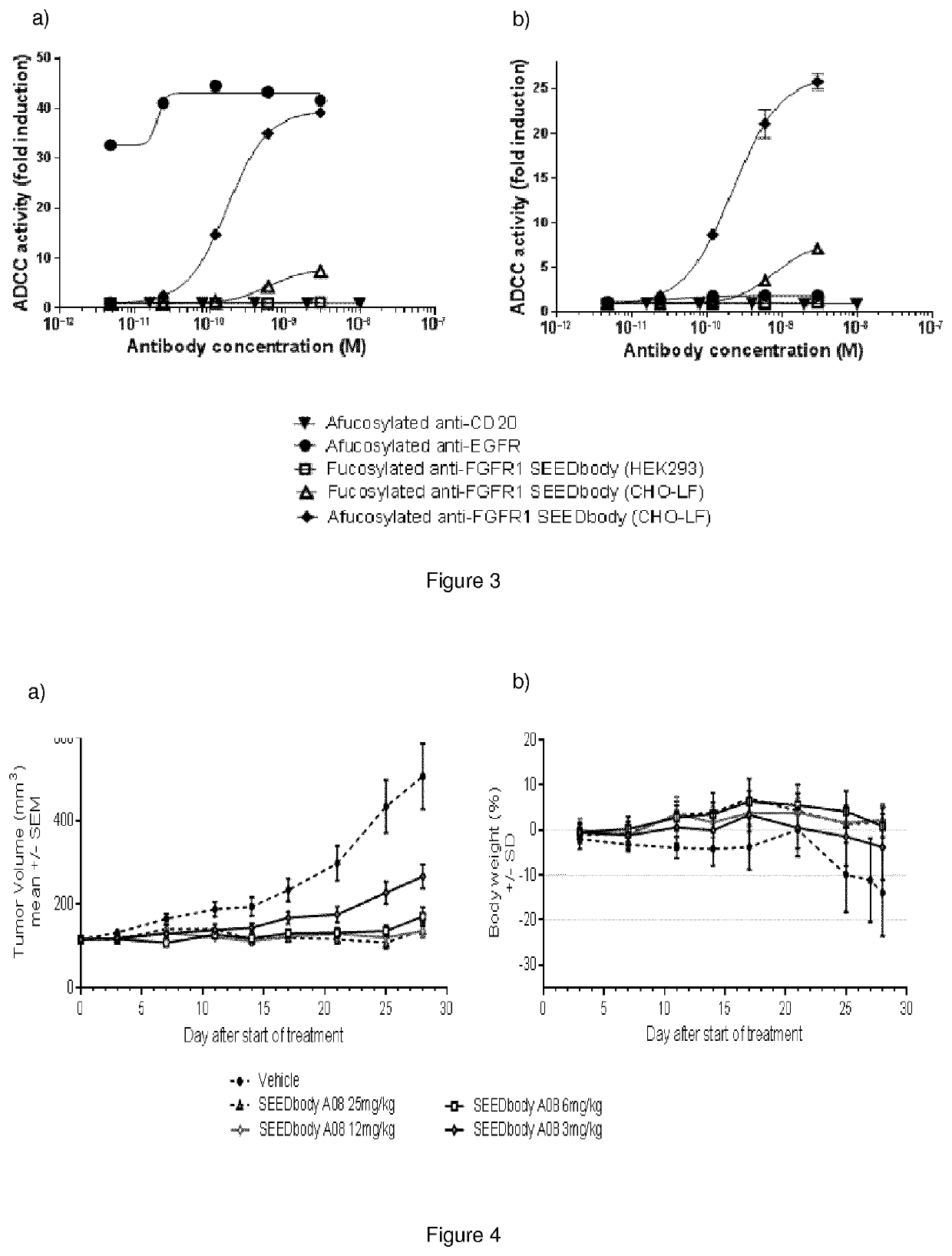 Monoclonal antibody directed to fgfr1