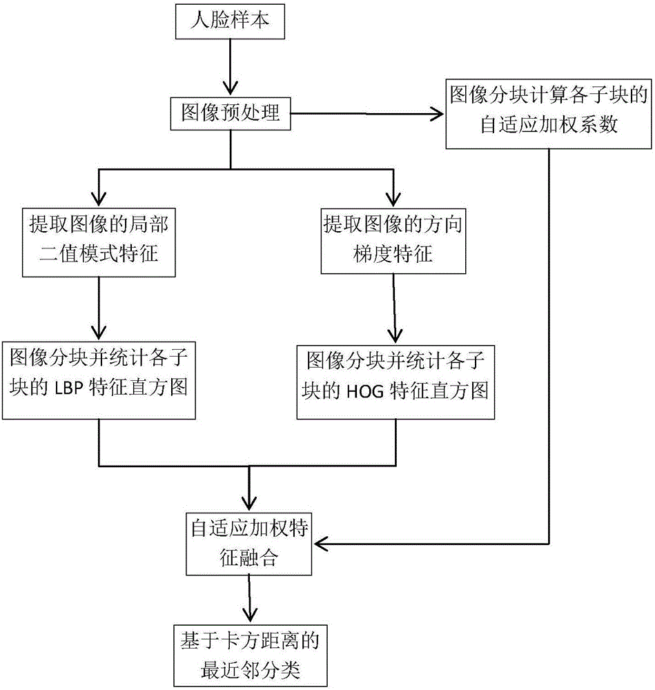 Face recognition method based on adaptive weighting and local characteristic fusion