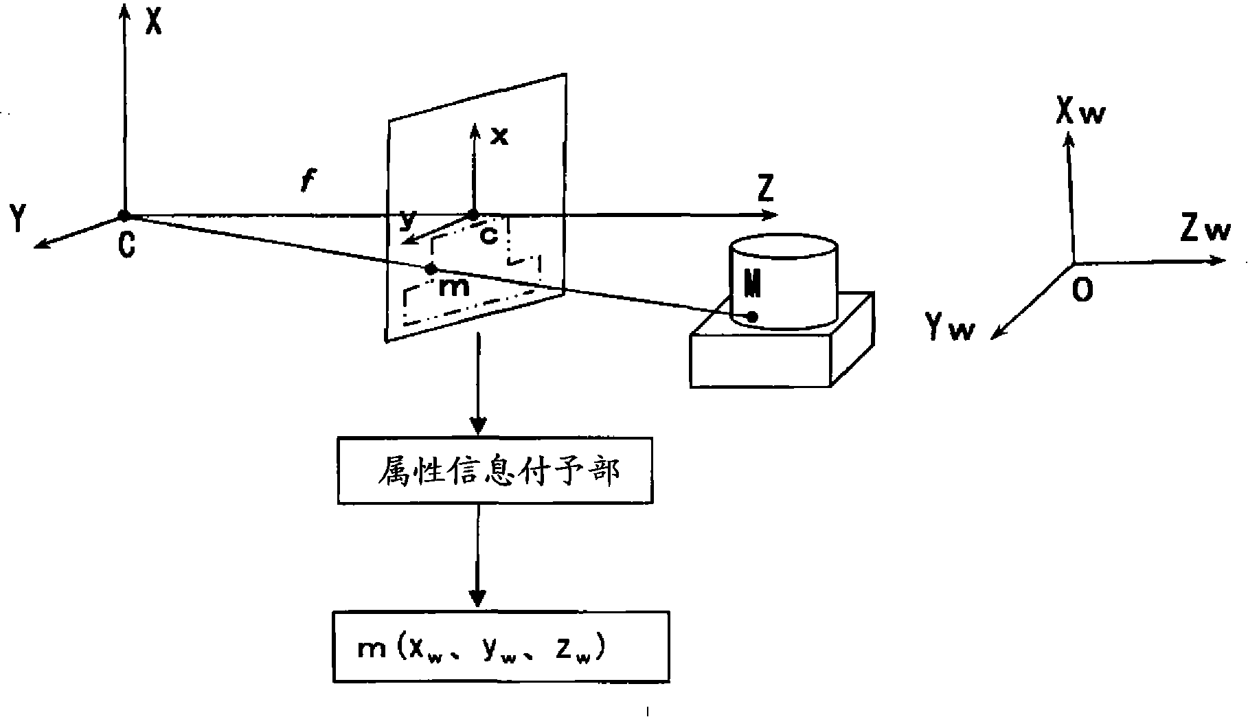 Image processor and environment information observing device