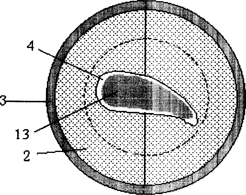 Heat-insulated baffle for oriented freezing cast