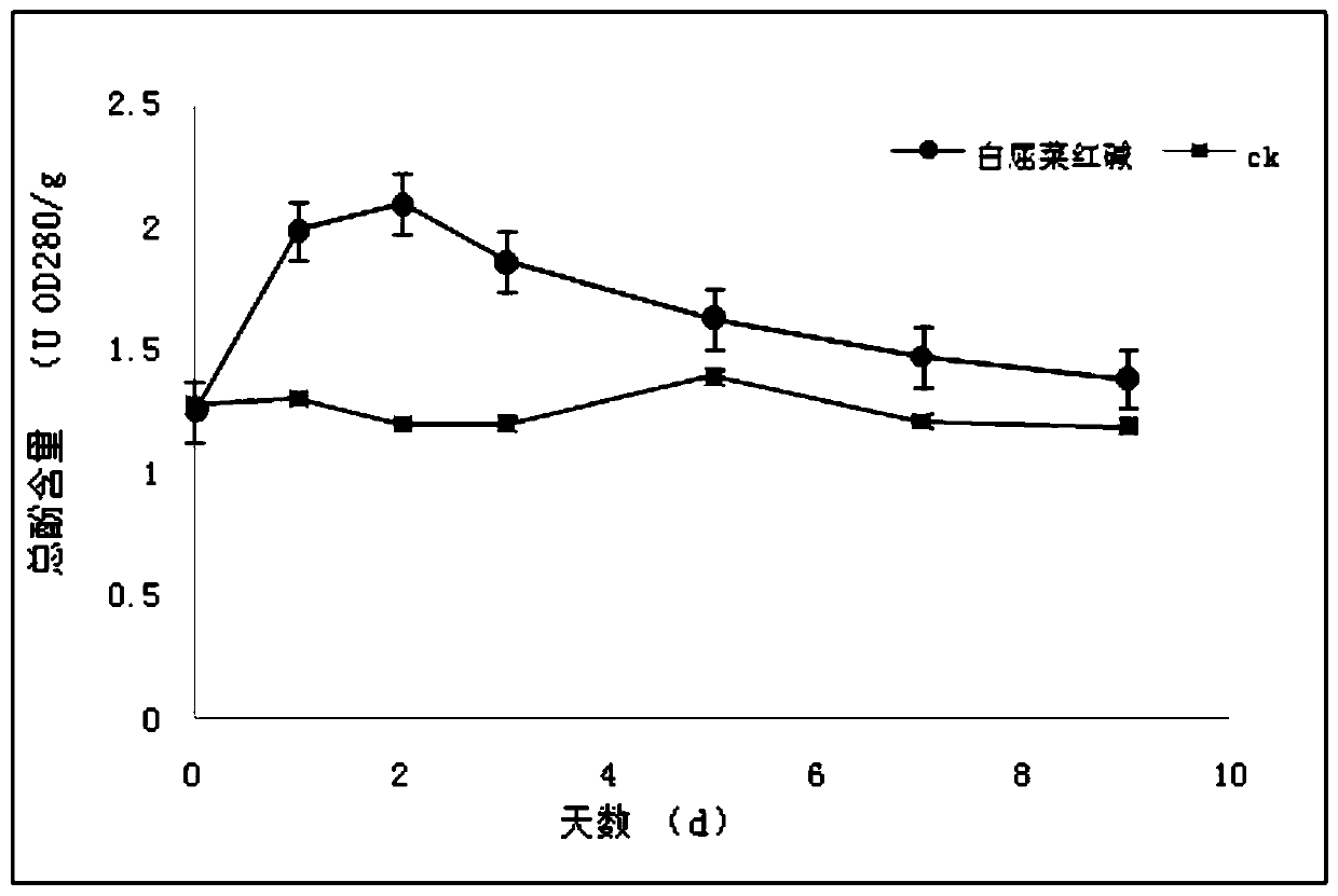 Application of chelidonine in preparation of plant resistance inducer, and plant resistance inducer