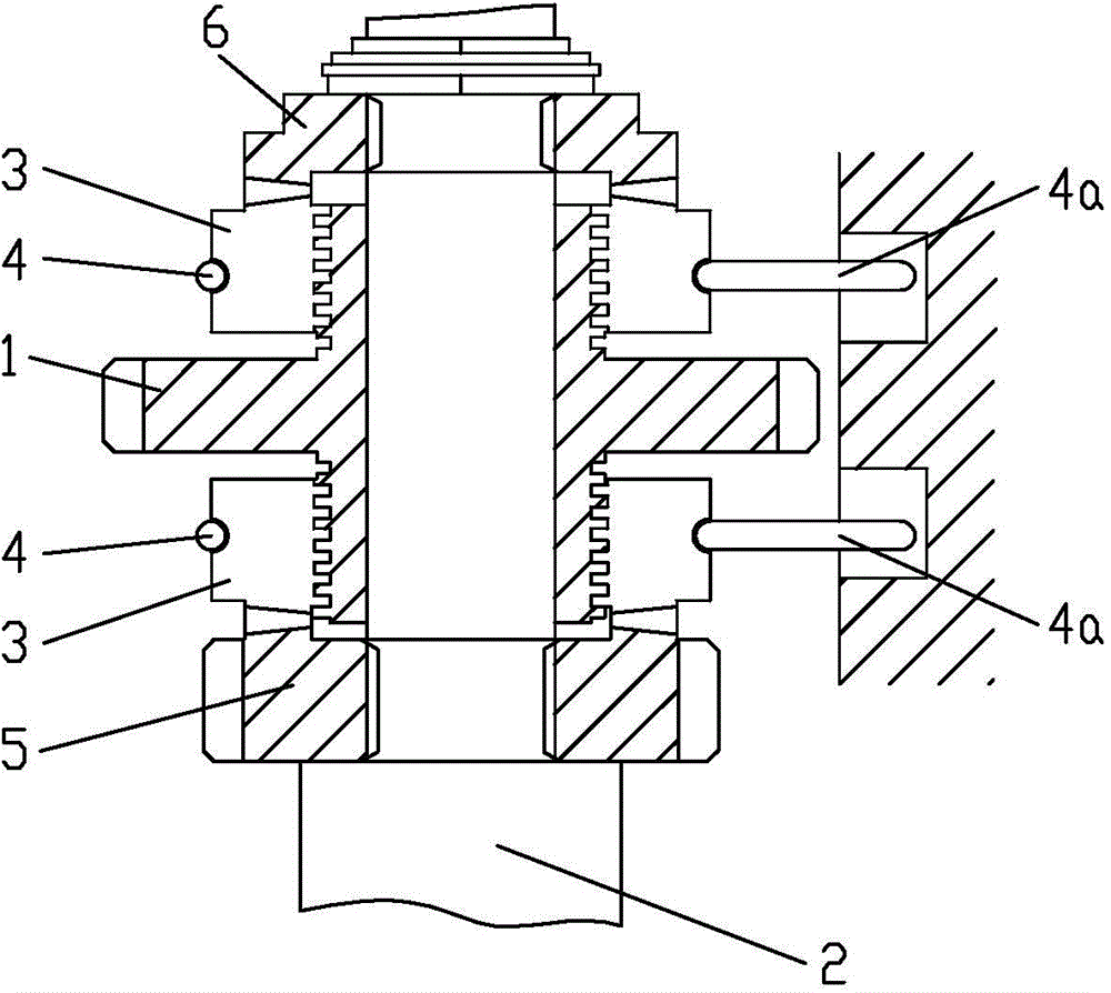 Bidirectional overrunning clutch, speed control device and automatic speed control system