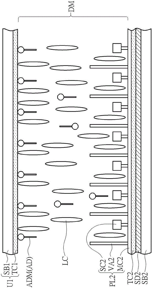 Liquid crystal display panel and liquid crystal alignment method thereof