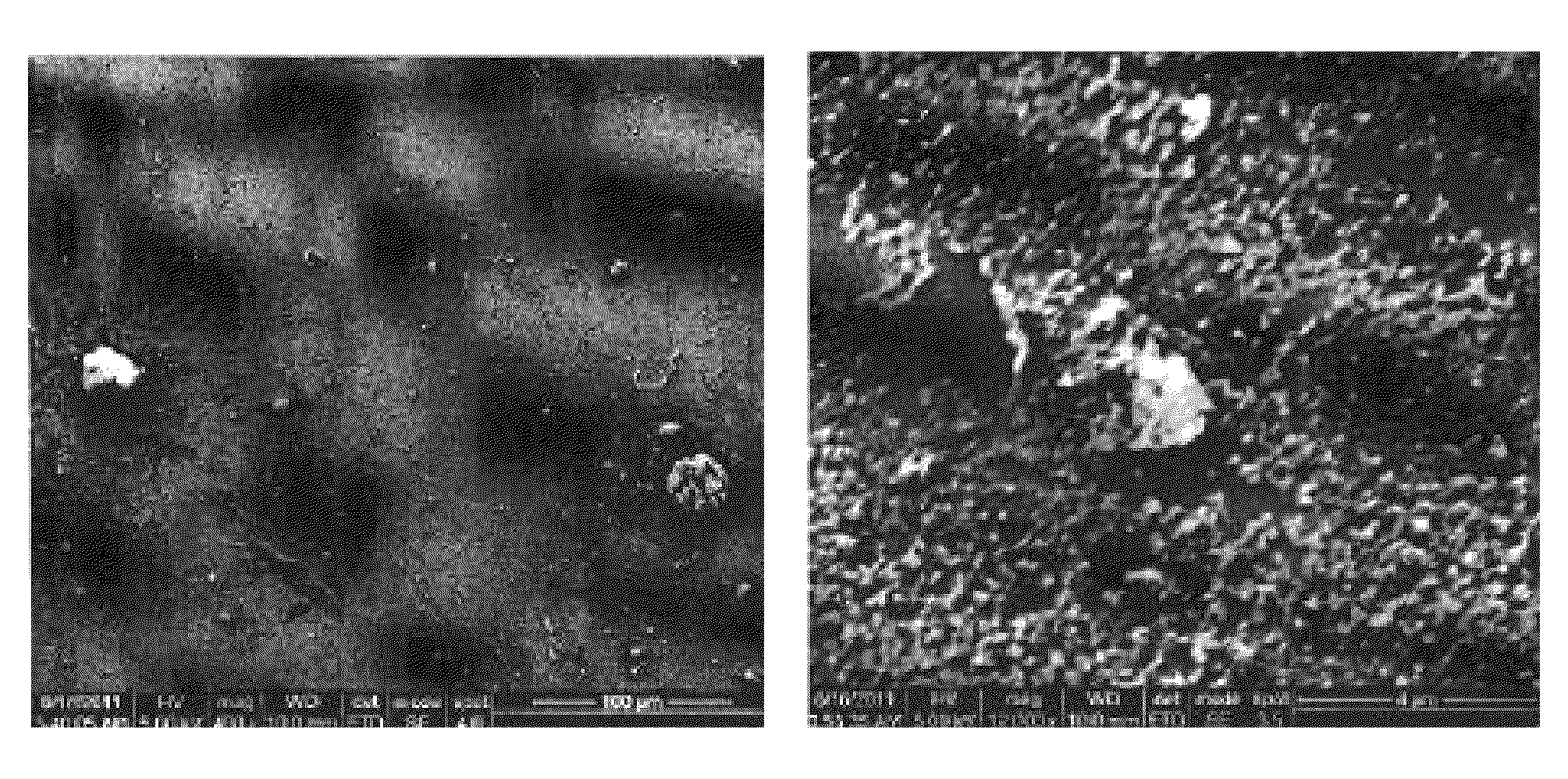 Fluoroalkylsilanated mesoporous metal oxide particles and methods of preparation thereof