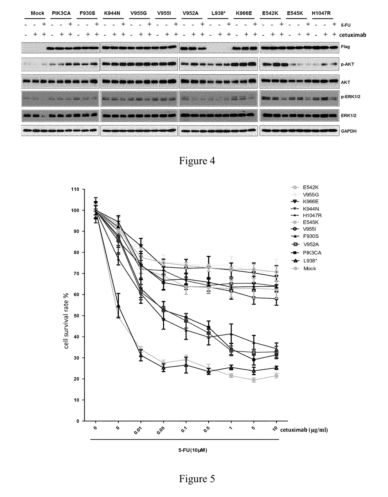 Pik3ca novel mutations detection for diagnosis of acquired cetuximab resistance in metastatic colorectal cancer patients