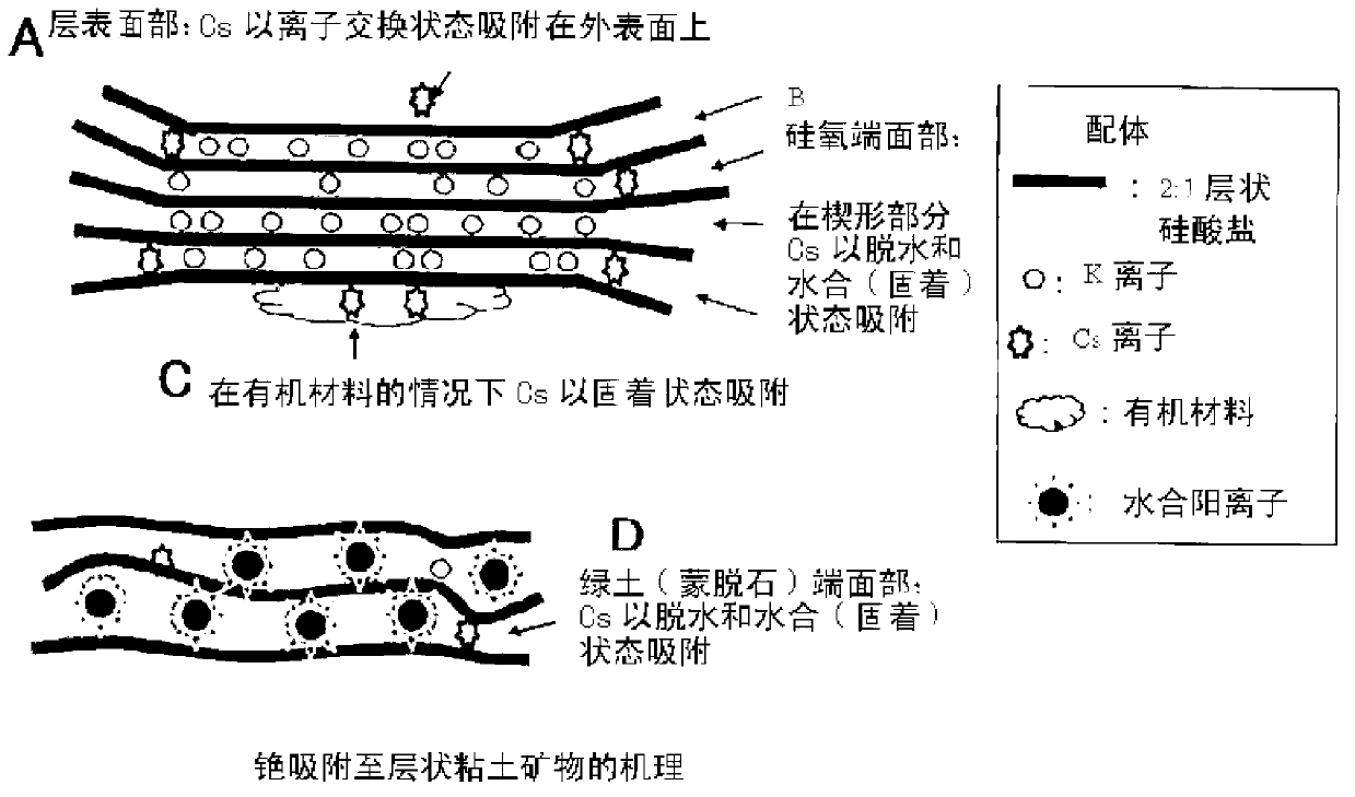 Decontamination method and apparatus for solid-state material contaminated by radiocesium