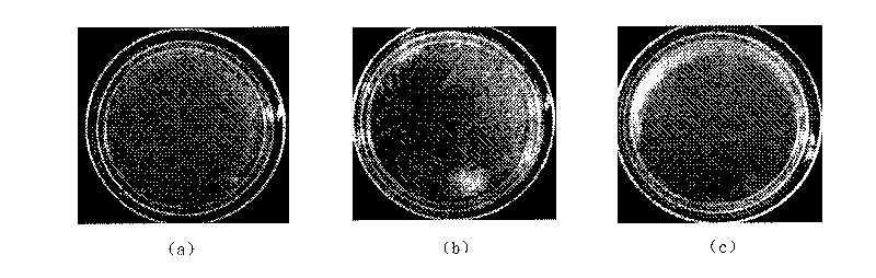 Method for preparing antibacterial nanometer silver colloid