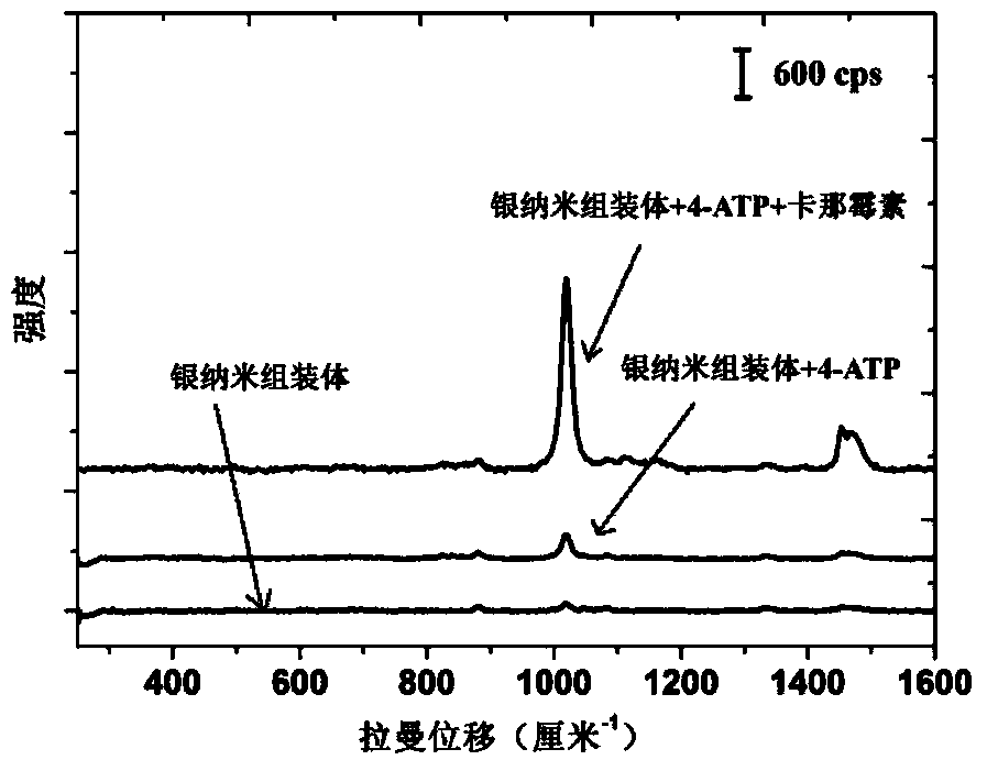 Method for building surface enhanced Raman scattering detection system