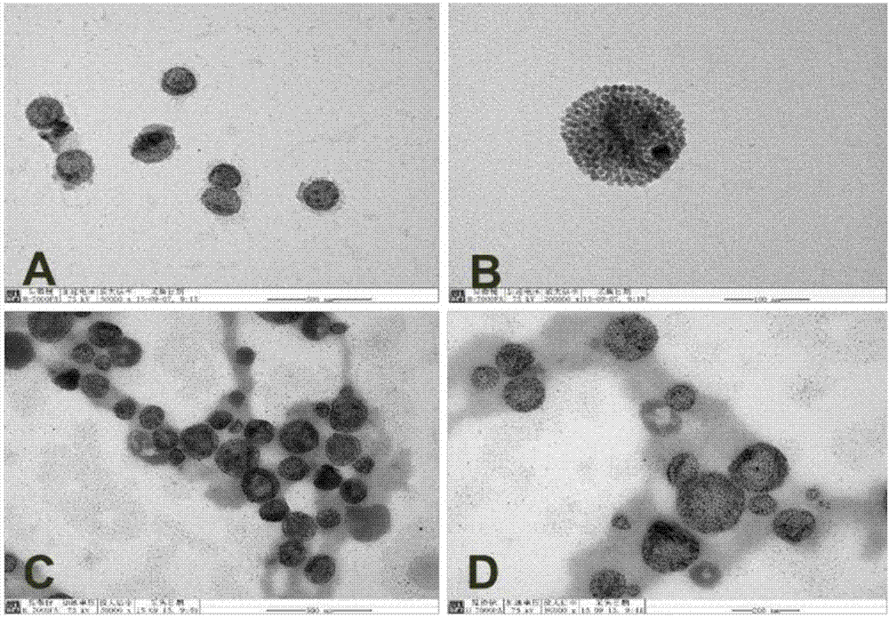 A preparation method and application of reduced self-assembled protein-coated magnetic microspheres