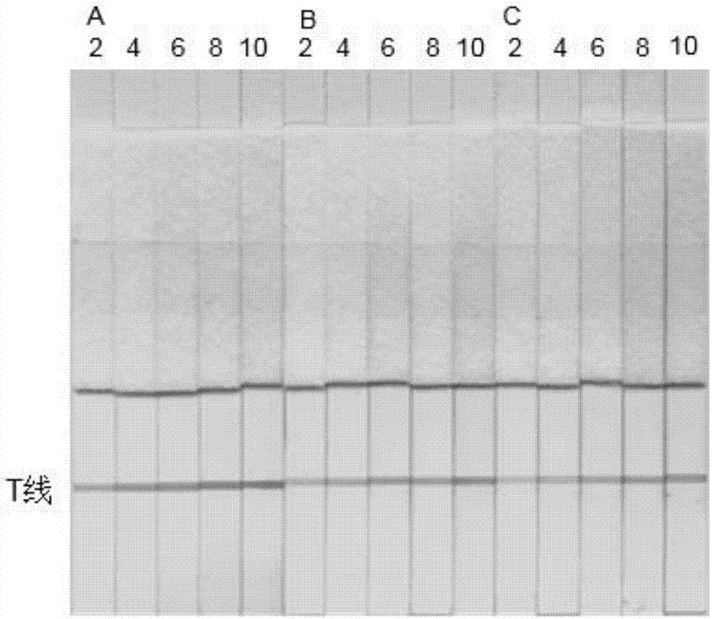 A preparation method and application of reduced self-assembled protein-coated magnetic microspheres