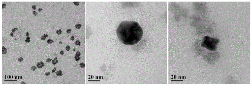 A kind of proton exchange membrane fuel cell electrocatalyst and preparation method thereof