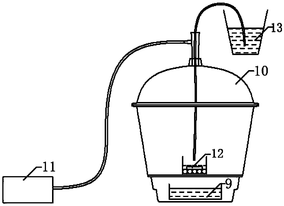 Determining device of chloride ion diffusion coefficient in hydrated calcium silicate gel and determining method