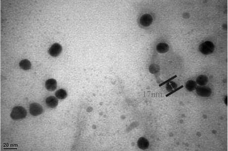 A closed-tube rapid visual detection kit for Salmonella and its detection method