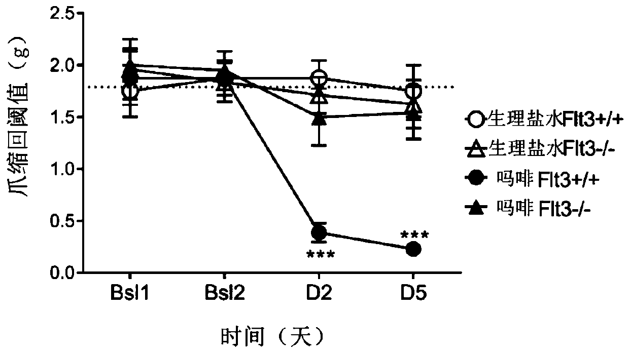 FLT3 inhibitors for improving pain treatments by opioids