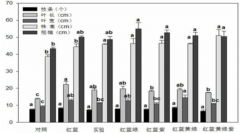 A method of supplementing light to improve the cultivation quality of peony New Year's Eve flowers