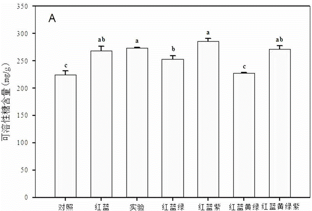 A method of supplementing light to improve the cultivation quality of peony New Year's Eve flowers