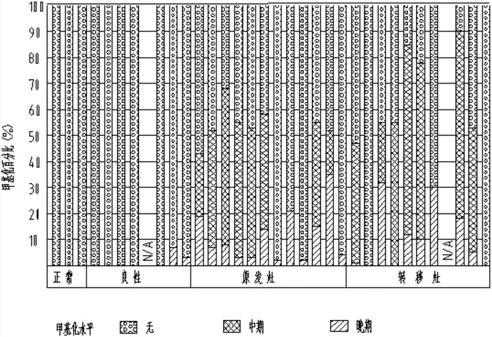 Non-invasive high-throughput methylation in colorectal cancer diagnosis, research and treatment method